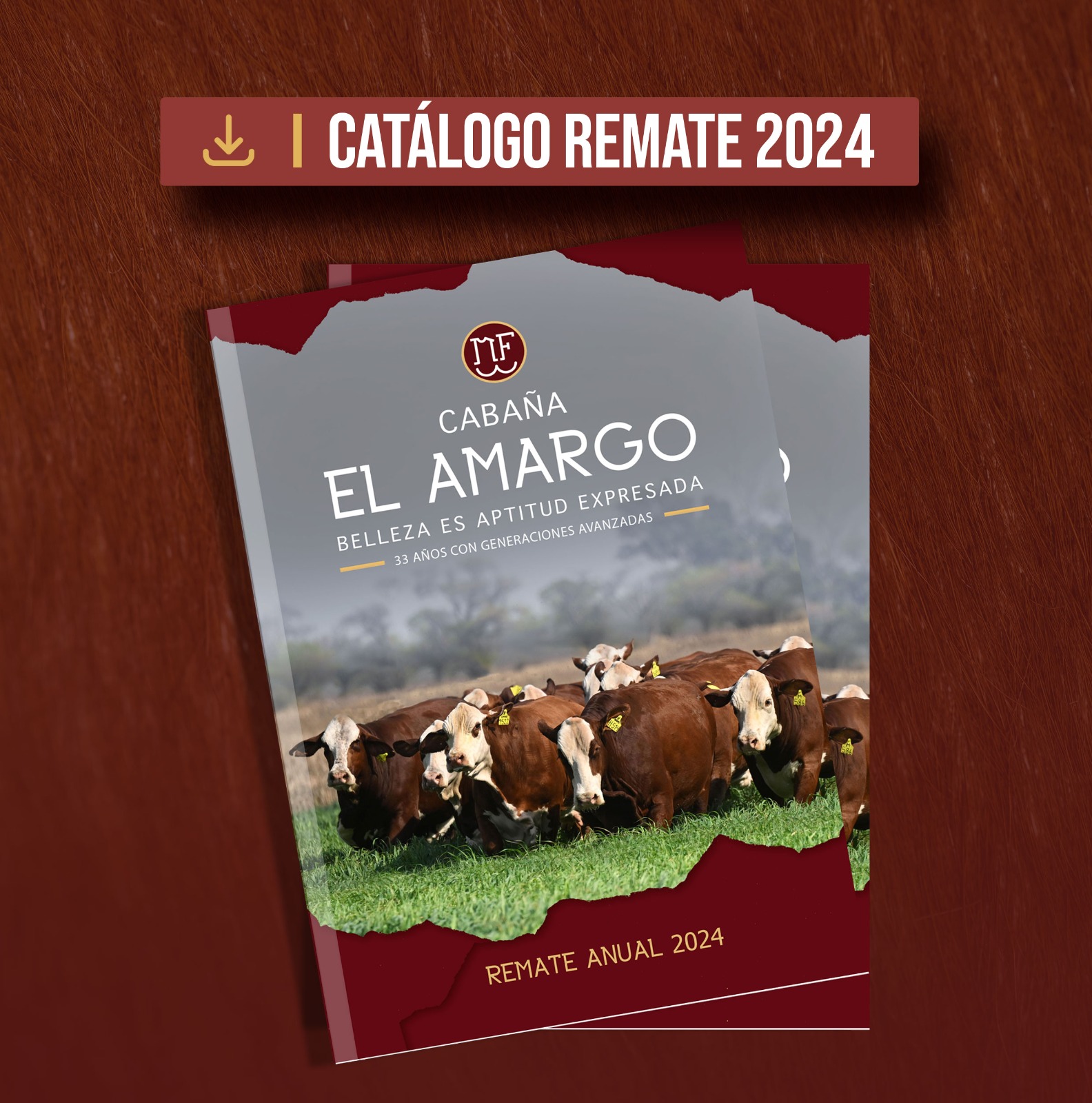 Catálogo Remate El Amargo 2024