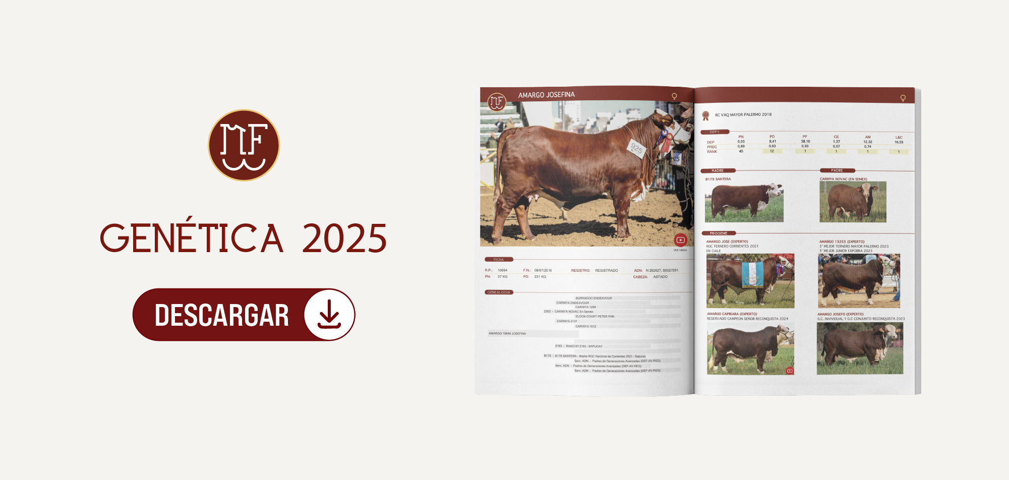 Catálogo Braford El Amargo 2024