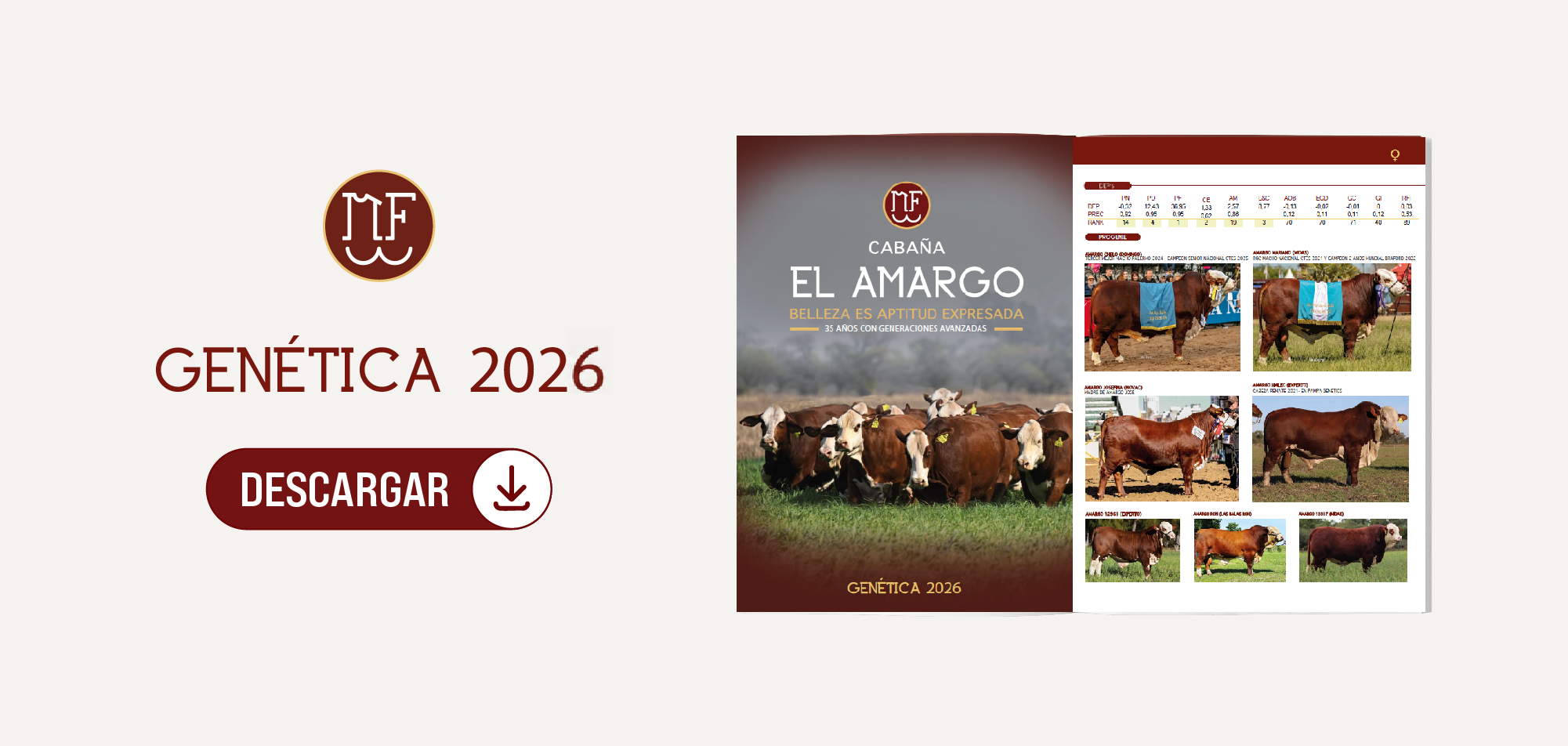 Catálogo Braford El Amargo 2026